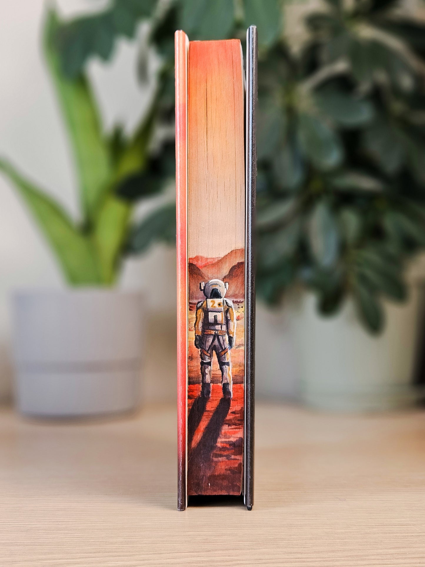The Martian by Andy Weir Custom Fore-edge Painting