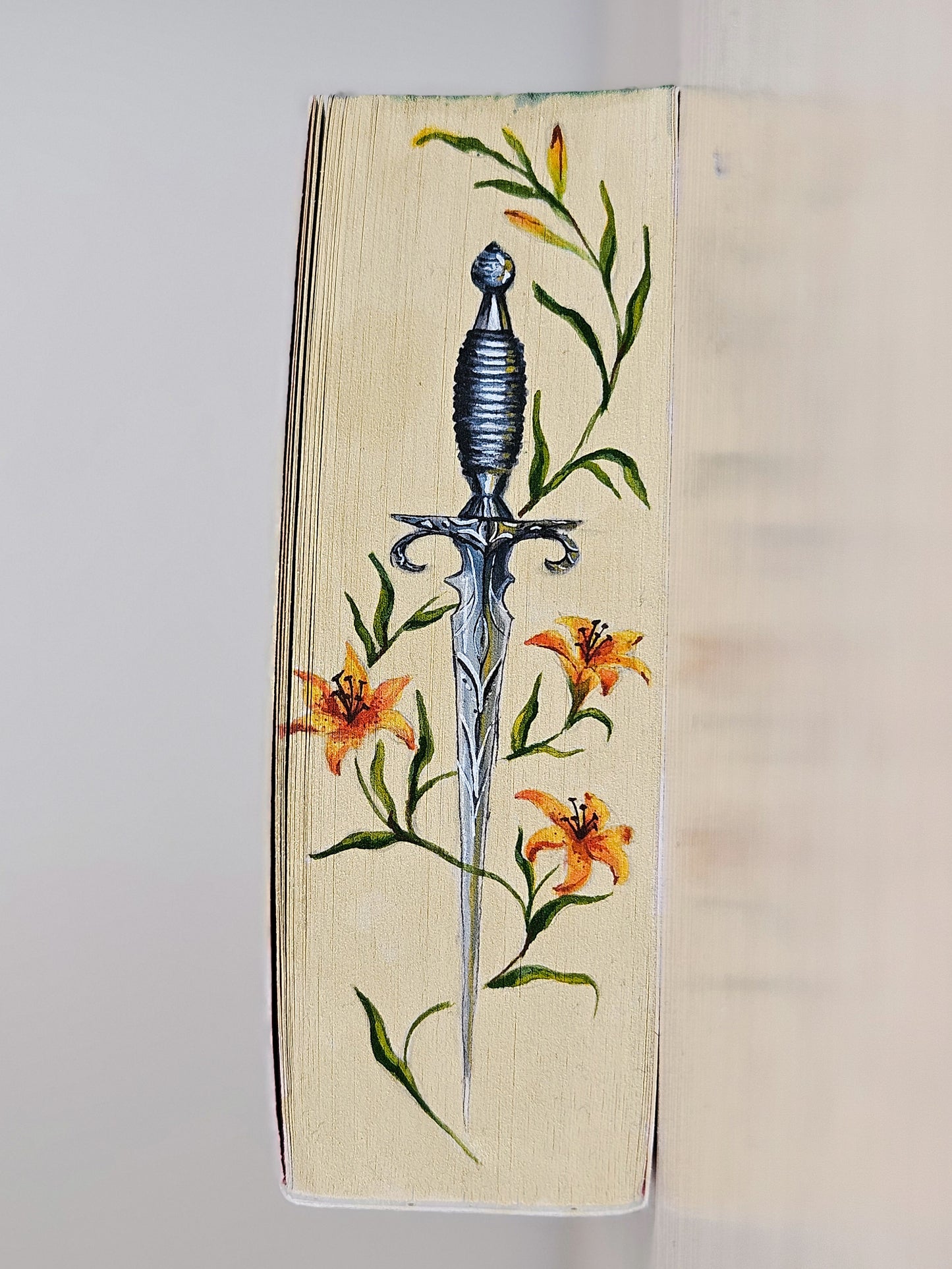 Queen of Shadows Fore-edge Painting