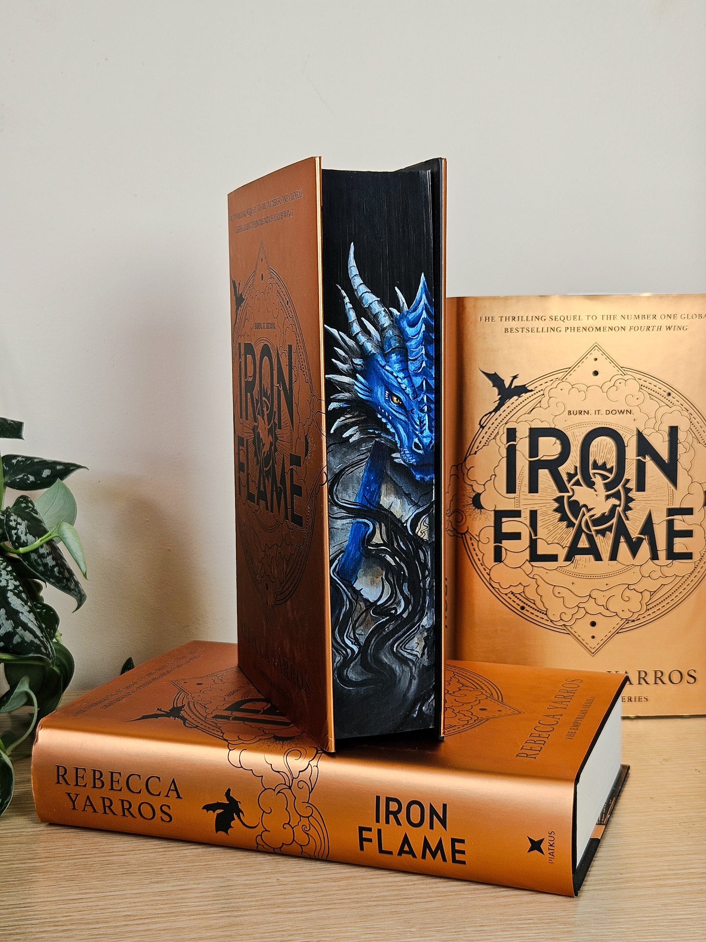 Fourth Wing, Iron Flame and Onyx Storm set by Rebecca Yarros Fore-edge Painting