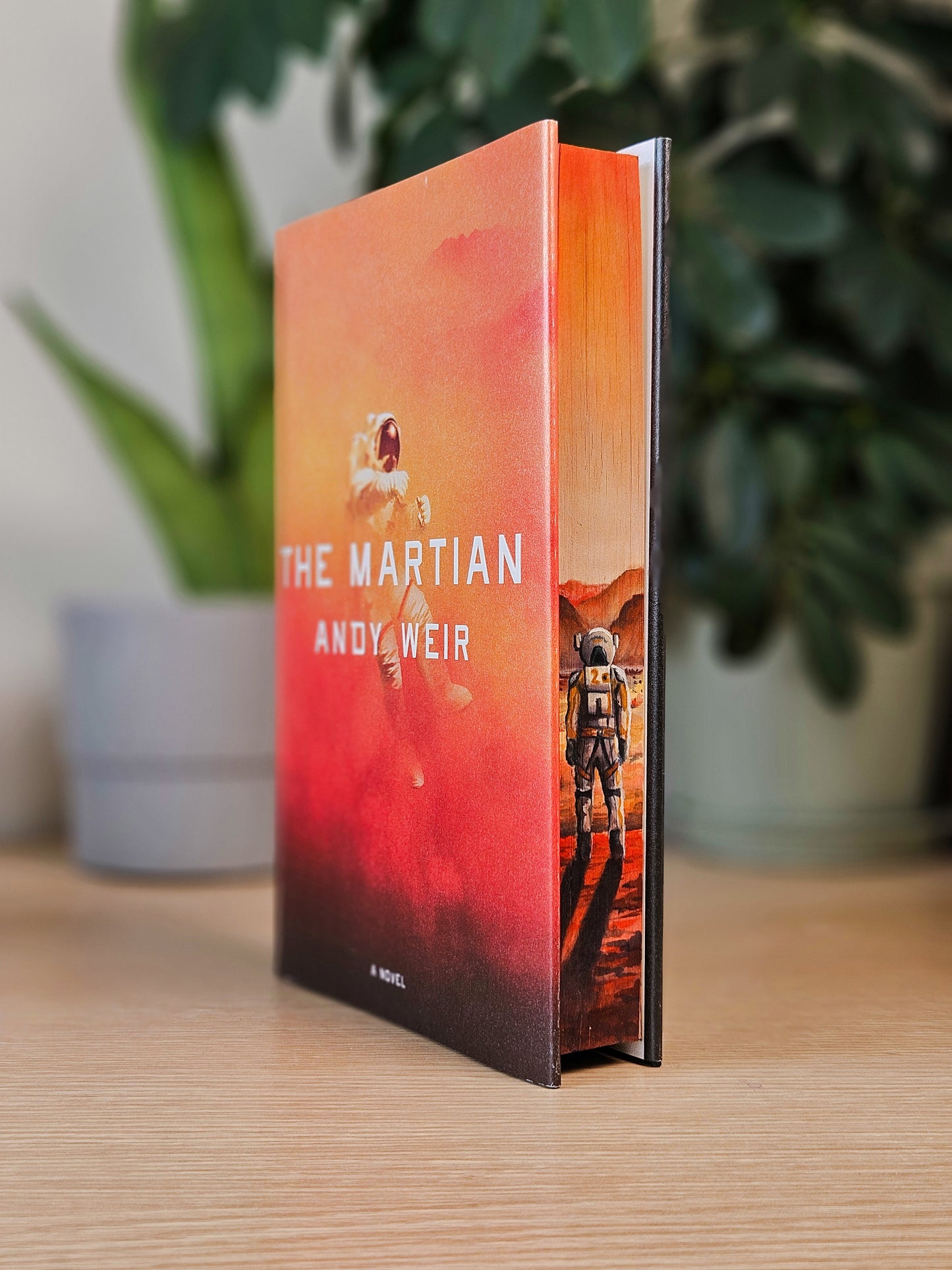 The Martian by Andy Weir Custom Fore-edge Painting