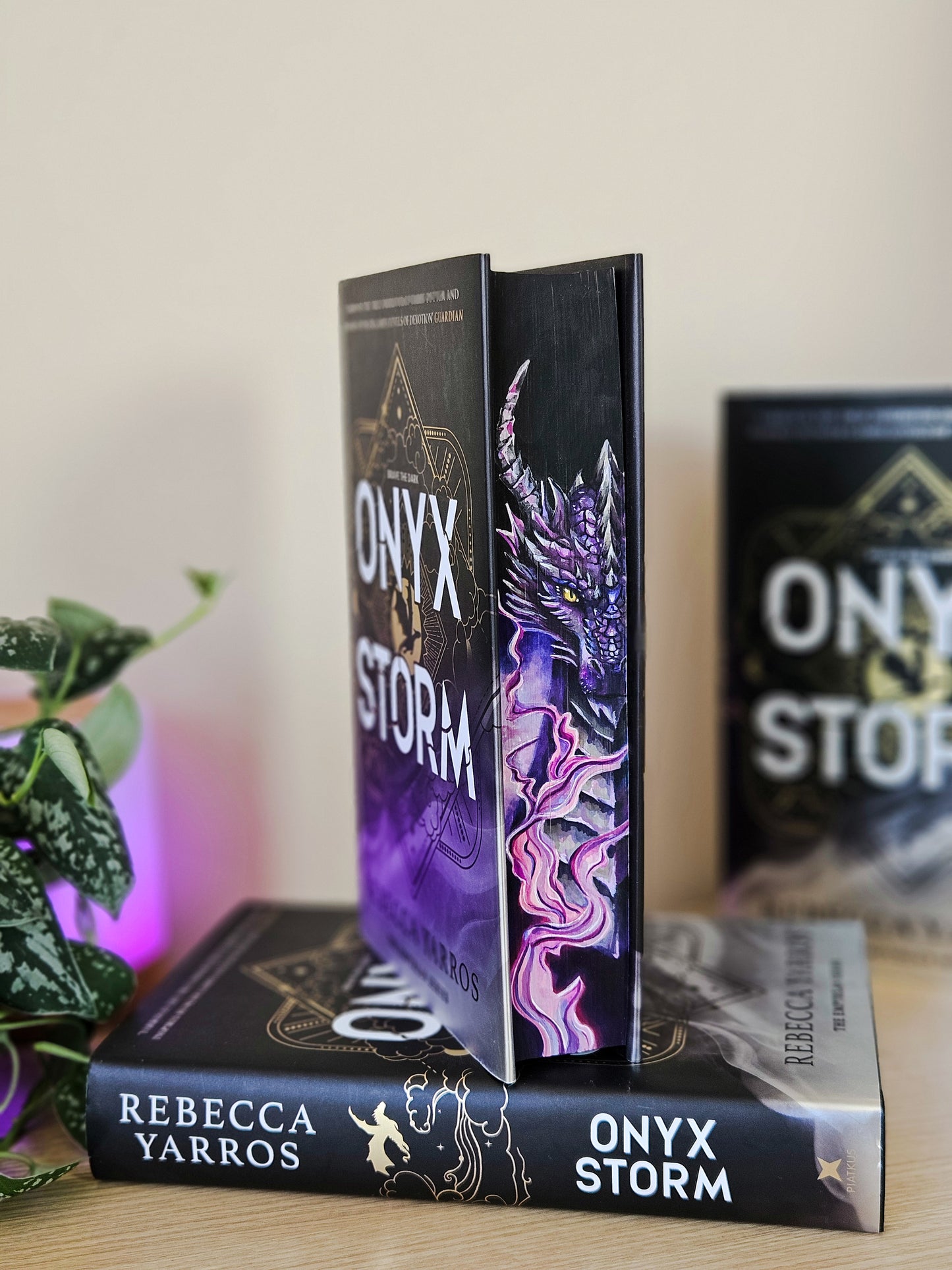 Fourth Wing, Iron Flame and Onyx Storm set by Rebecca Yarros Fore-edge Painting