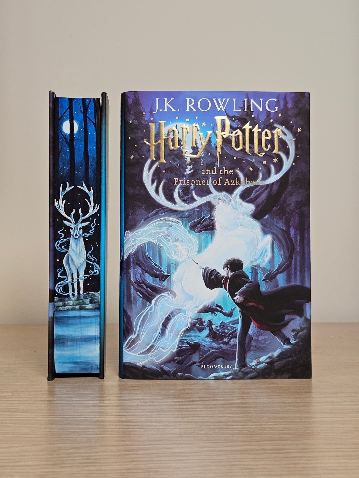 Harry Potter by JK Rowling hand-painted set 1 side